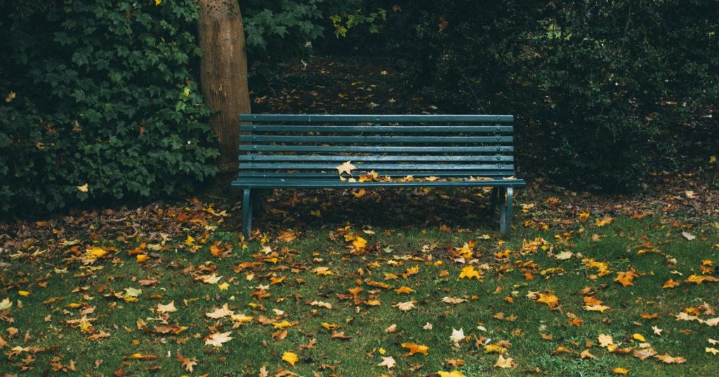 A green park bench surrounded by autumn leaves in Bedale, Yorkshire