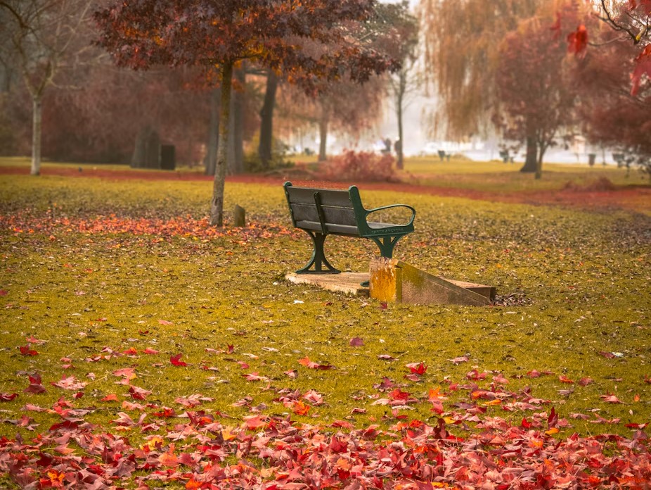 An empty bench among autumn leaves at Rivermead Park in Reading